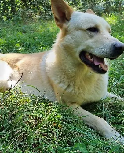 Casa De Forno Εξοχικό σπίτι